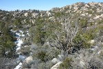 photo thumbnail #6