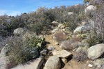 photo thumbnail #12