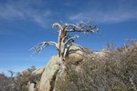 photo thumbnail #15