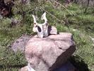 photo thumbnail #7