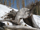 photo thumbnail #5