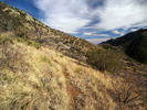 photo thumbnail #7