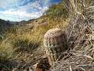 photo thumbnail #8