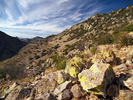 photo thumbnail #10