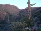 photo thumbnail #1