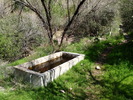 photo thumbnail #10