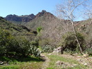 photo thumbnail #12