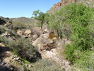 photo thumbnail #14