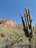 photo thumbnail #15