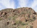 photo thumbnail #4