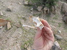 photo thumbnail #10