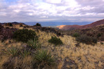 photo thumbnail #4