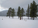photo thumbnail #2