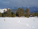photo thumbnail #3