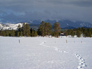 photo thumbnail #4