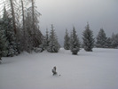 photo thumbnail #11
