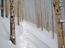 photo thumbnail #13