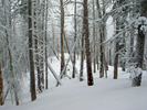 photo thumbnail #14
