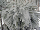 photo thumbnail #15