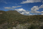 photo thumbnail #8