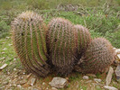 photo thumbnail #7