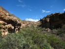 photo thumbnail #11