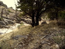 photo thumbnail #11