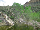 photo thumbnail #2
