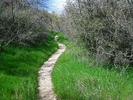 photo thumbnail #6