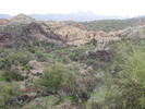 photo thumbnail #3