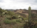 photo thumbnail #5