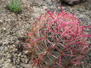 photo thumbnail #9