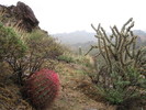 photo thumbnail #12