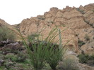 photo thumbnail #14
