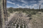 photo thumbnail #1