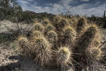 photo thumbnail #2