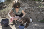 photo thumbnail #5