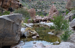 photo thumbnail #8