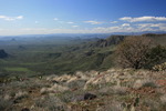 photo thumbnail #12