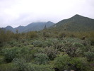 photo thumbnail #1