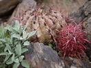 photo thumbnail #8