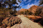 photo thumbnail #5