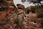photo thumbnail #8