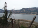 photo thumbnail #12