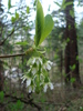 photo thumbnail #15