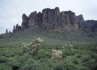 photo thumbnail #1