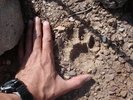 photo thumbnail #14