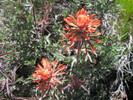 photo thumbnail #15