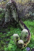 photo thumbnail #11