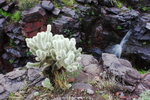 photo thumbnail #15
